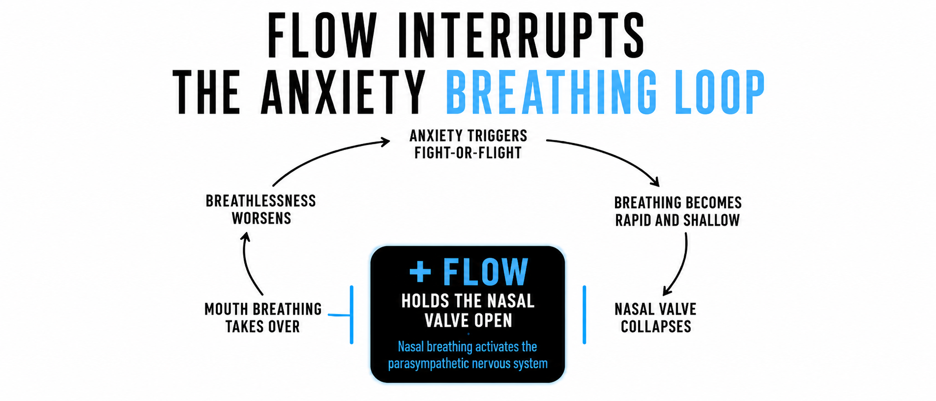 Flow interrupts the anxiety breathing loop